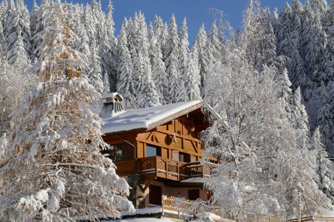 Les Saisies Cote Legette Appartement Dans Chalet Le Nepal Экстерьер фото